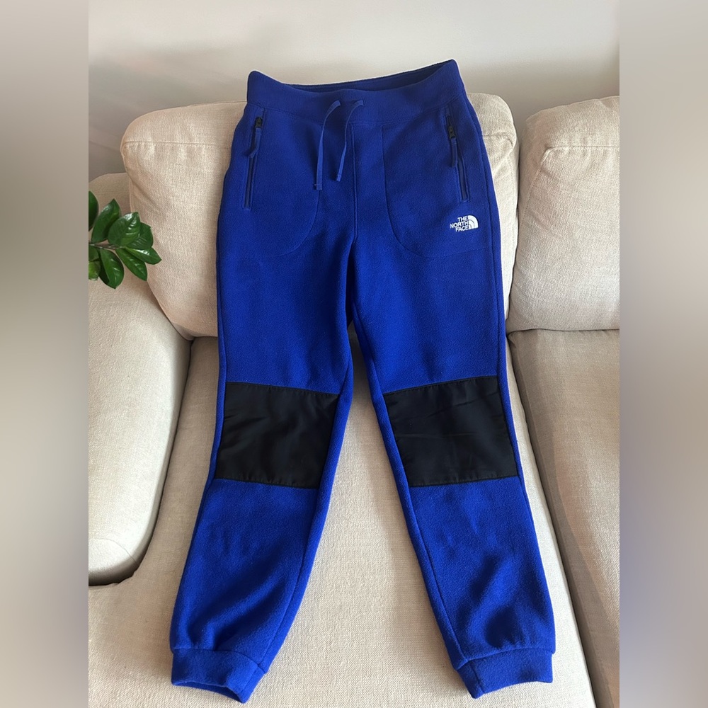 The North Face Alpine Polartec 200 Regular Pants